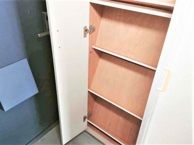 レオパレスナカムラⅠの玄関