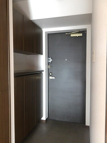 レクセルマンション川越大手町の玄関|下駄箱（玄関）※2025年6月撮影