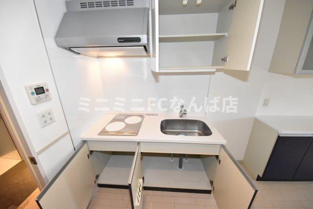 ロイヤルパークス桃坂