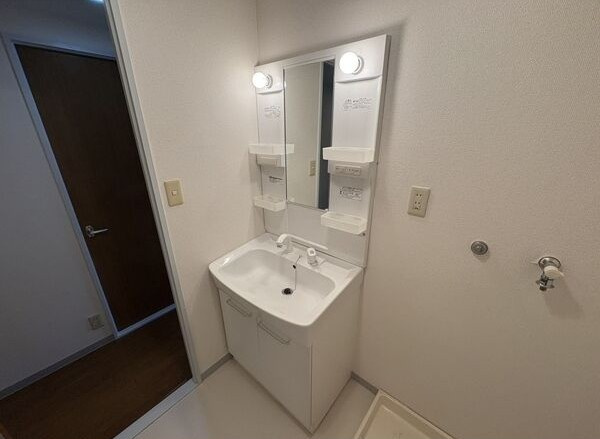 ヒルズ池場の洗面所