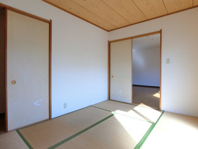 【その他】 | デイスターN