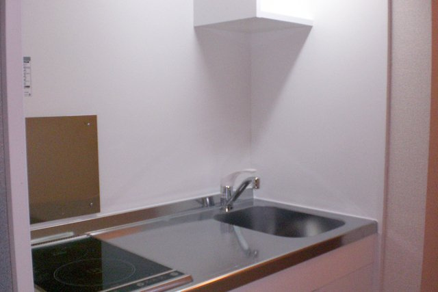 レオネクストサーマルのキッチン