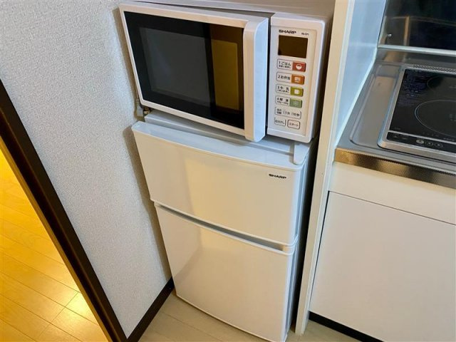 レオネクストサーマルのその他