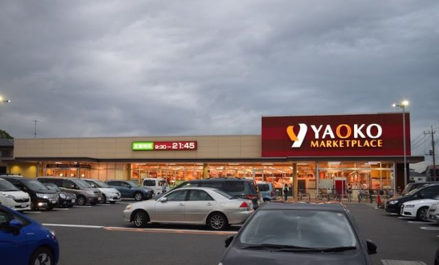 レオパレスアゼリアパークの周辺