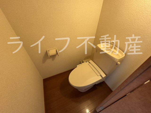 カラコレスのトイレ|トイレもきれいです