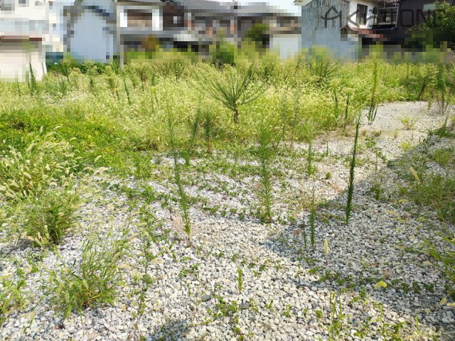 【外観】 | 姫路市網干区新在家／売土地