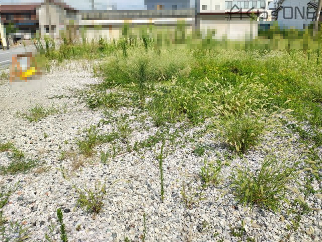 【外観】 | 姫路市網干区新在家／売土地