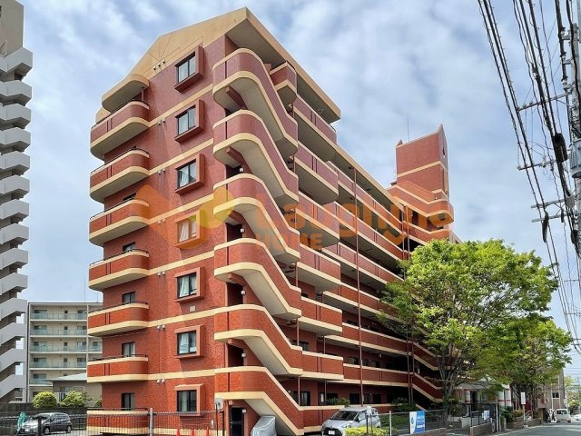 アメニティハイツ杏栄館の外観|建物外観を気になさる方へ、見た目の良い物件です