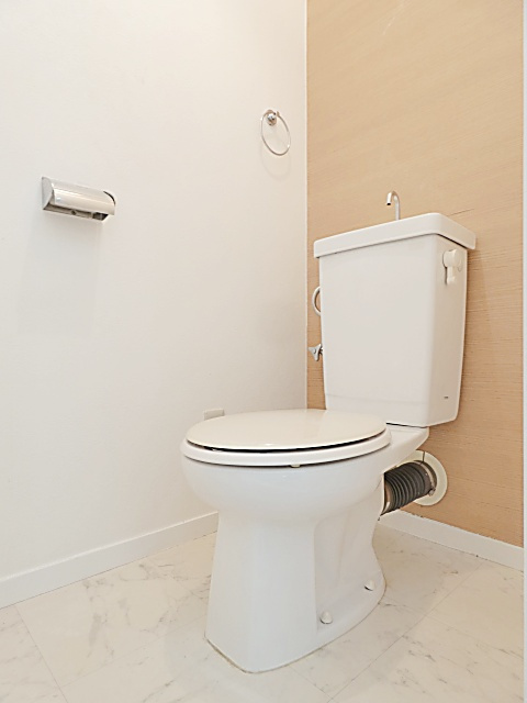 ハイツ白山のトイレ|トイレも気になるポイント