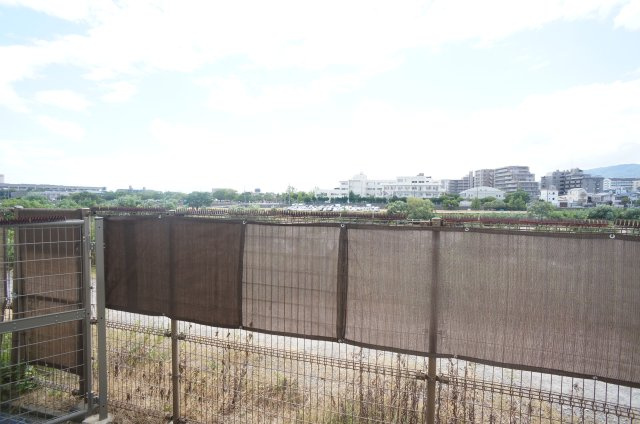 NORTH　FIELDの展望