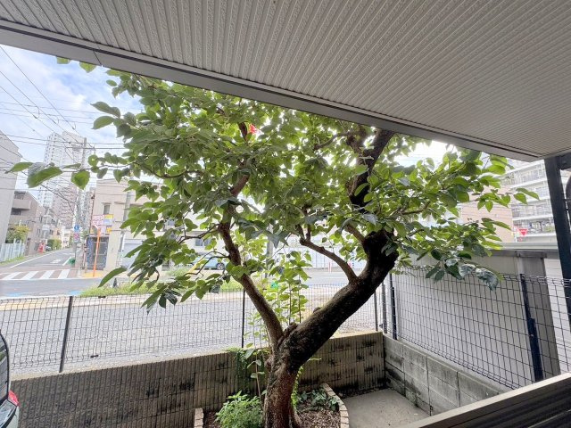 プログレス三軒茶屋の展望|★テラスからの景色です★