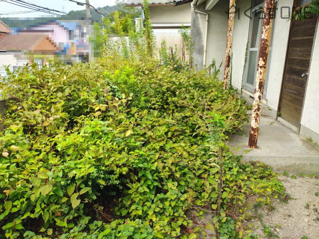 【外観】 | 姫路市田寺東4丁目／売土地