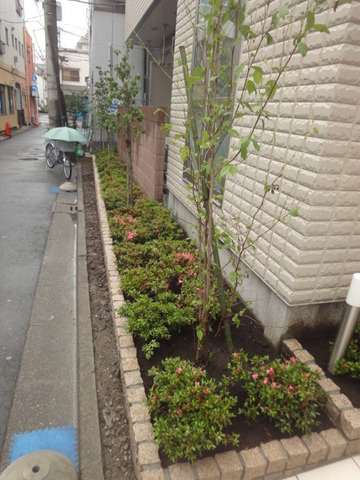 ソレイユのその他