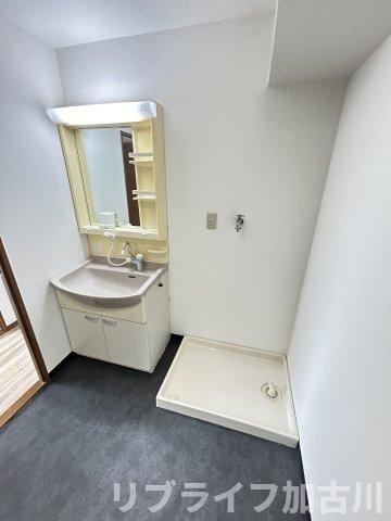 サウスレーベン小野の洗面所