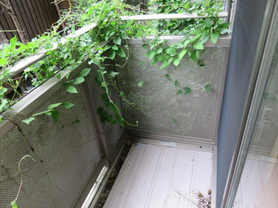 【バルコニー】 | ベストール柳町