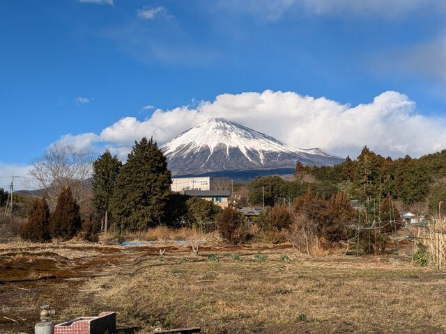 富士市大淵の売地
