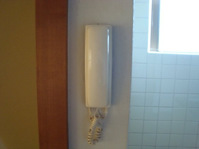 ペルローズBのその他