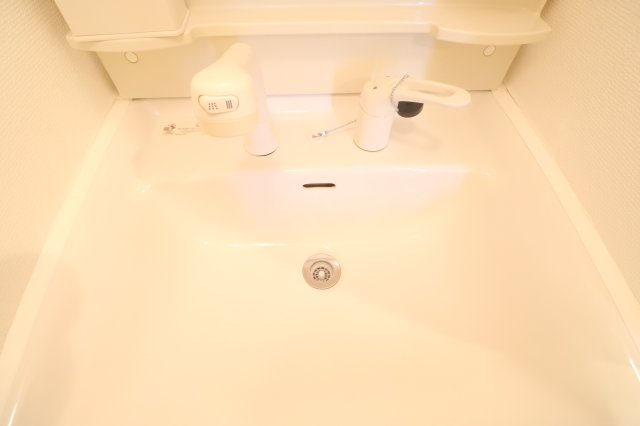 ハイツウエルカムの洗面所