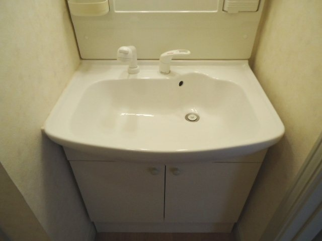 シティルミナスⅥの洗面所