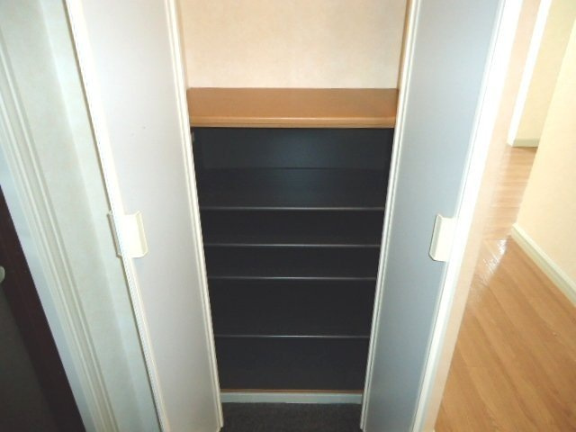 シティルミナスⅥの玄関