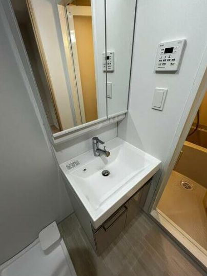 さいたま市浦和区北浦和１丁目の賃貸マンションの独立洗面台