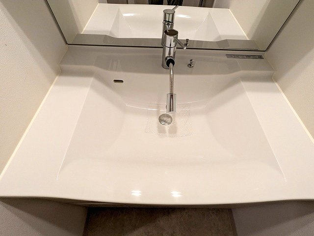 Dimus根岸の設備|ハンドシャワー付独立洗面台