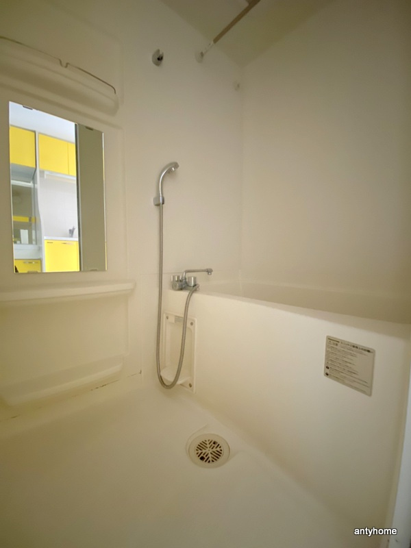 プレサンス心斎橋ザスタイル　仲介手数料無料の浴室