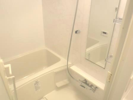 GRAND-AILES駒込（グランエールコマゴメ）の浴室