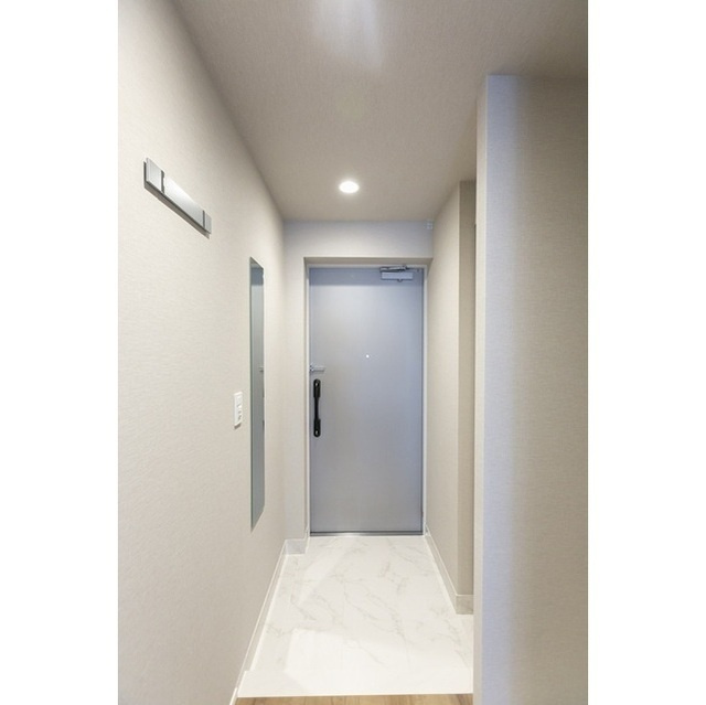 新宿区西新宿８丁目の賃貸マンションの玄関