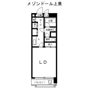 メゾンドール上泉の間取り