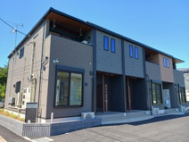 プリムローズ　Ａの画像