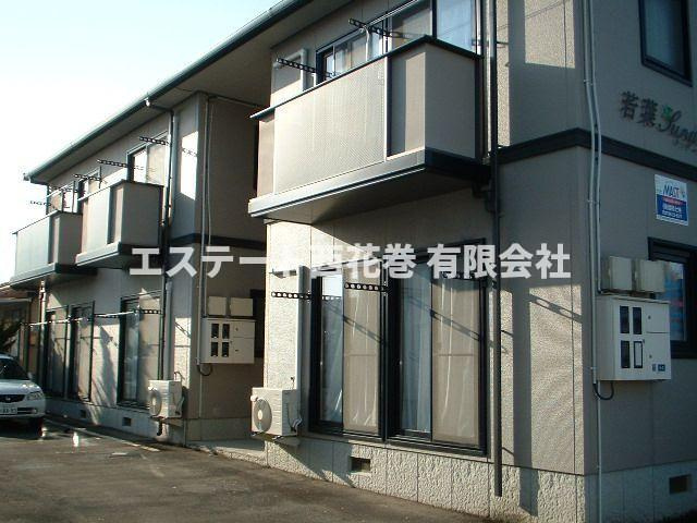 若葉サンデール