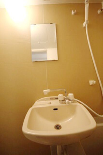 メルディア与野本町の洗面所