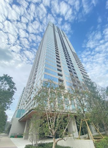 白金ザ・スカイの画像