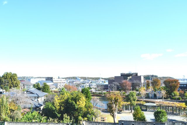 ブリッヂ金子の展望