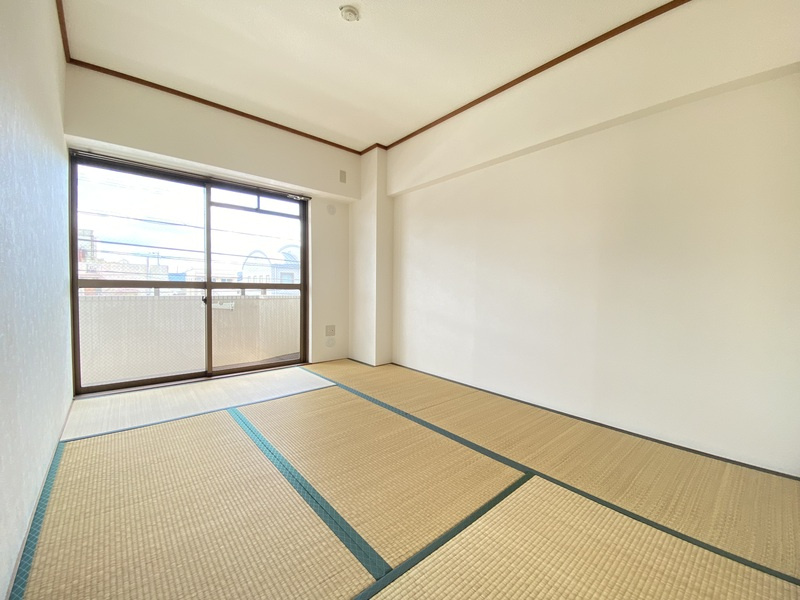 グレースキトラのその他