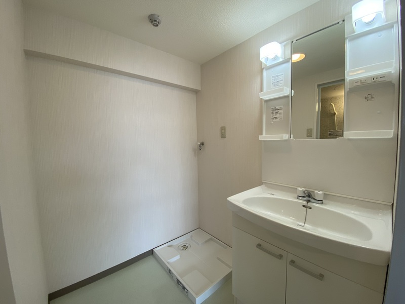 グレースキトラの洗面所