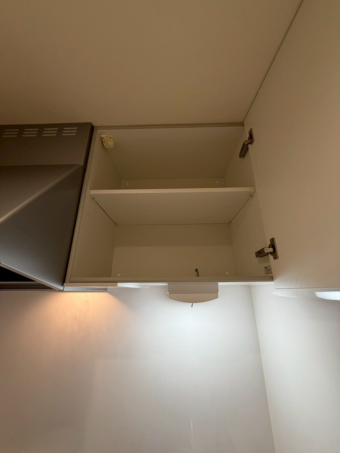 ナウハウス伊孑志の庭|お庭です