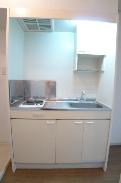 メゾンジュネスのキッチン|201号室のお写真です。