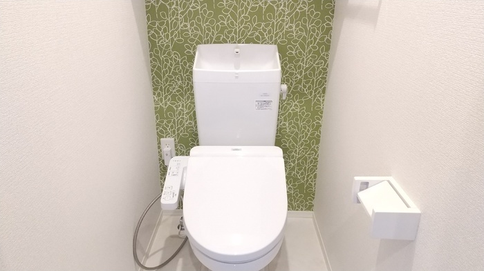 D-ROOM隈府　A棟のトイレ