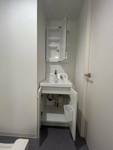 バズ西台Ⅲの洗面所