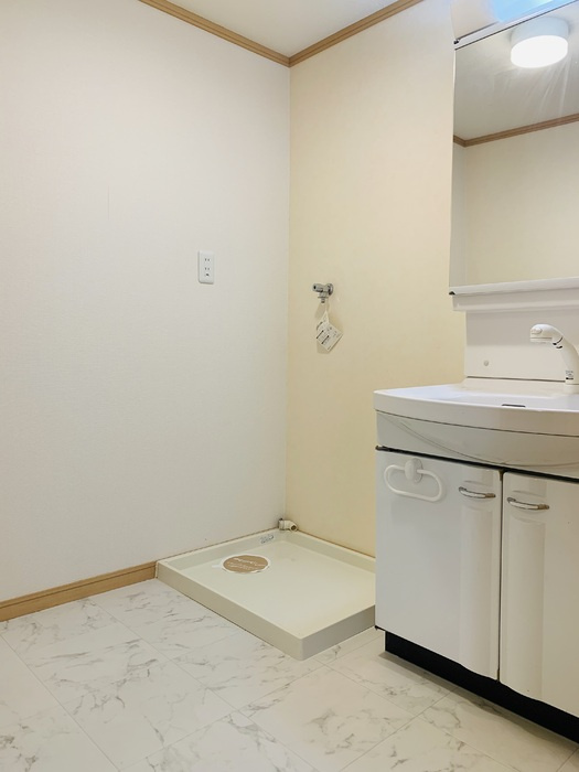 ヴィンテージ本多Ⅱの洗面所