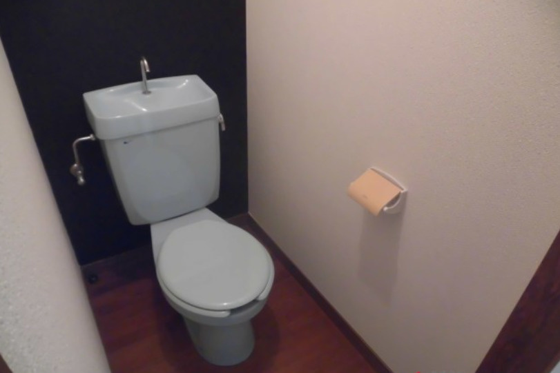 ドリームハウスのトイレ|トイレです