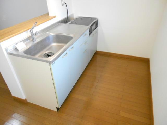 トラストドリームⅡのキッチン