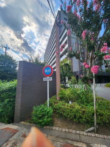 コスモシティ鳩ヶ谷駅前のその他