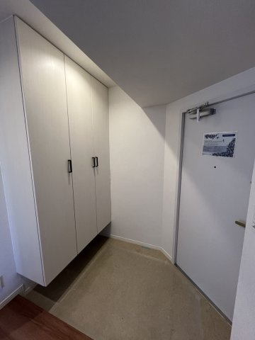 ハウスユマニテ大橋α館の玄関