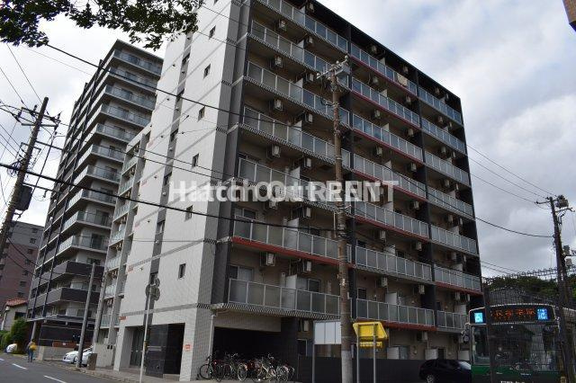 ミリアビタNo.35の画像