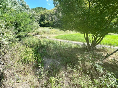 【前面道路含む現地写真】 | 岡山県瀬戸内市邑久町庄田　倉庫付き土地