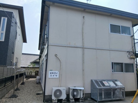 外観も気になるポイント