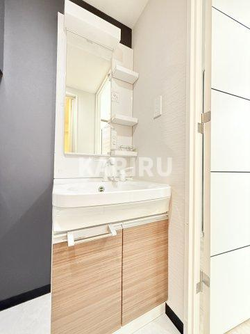 グランドロアール南巽の洗面所